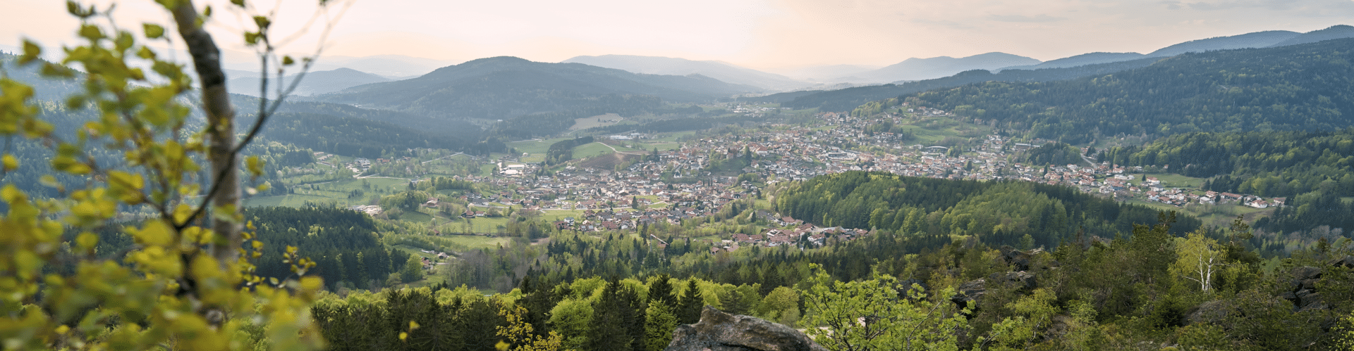 Frühling am Silberberg