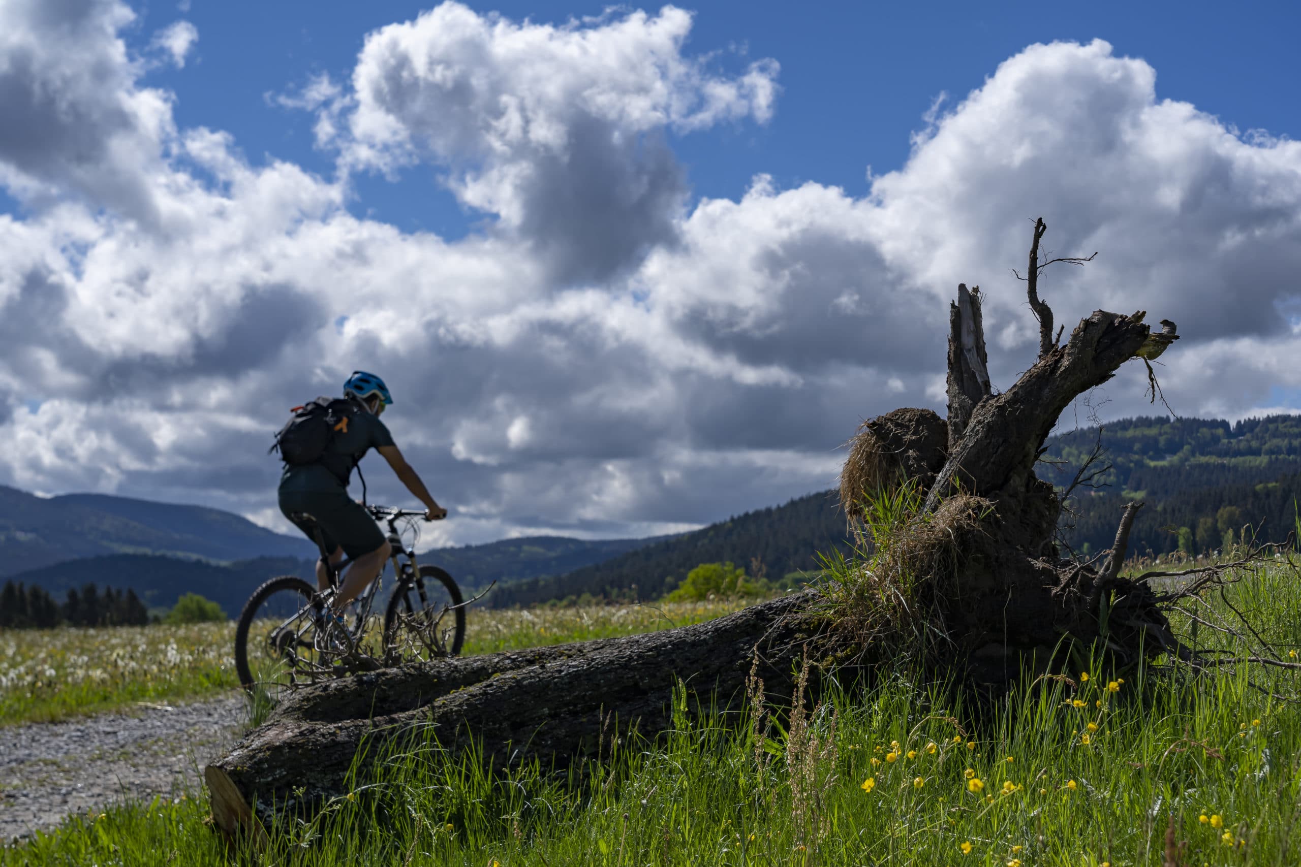 E-Bikes in Bodenmais
