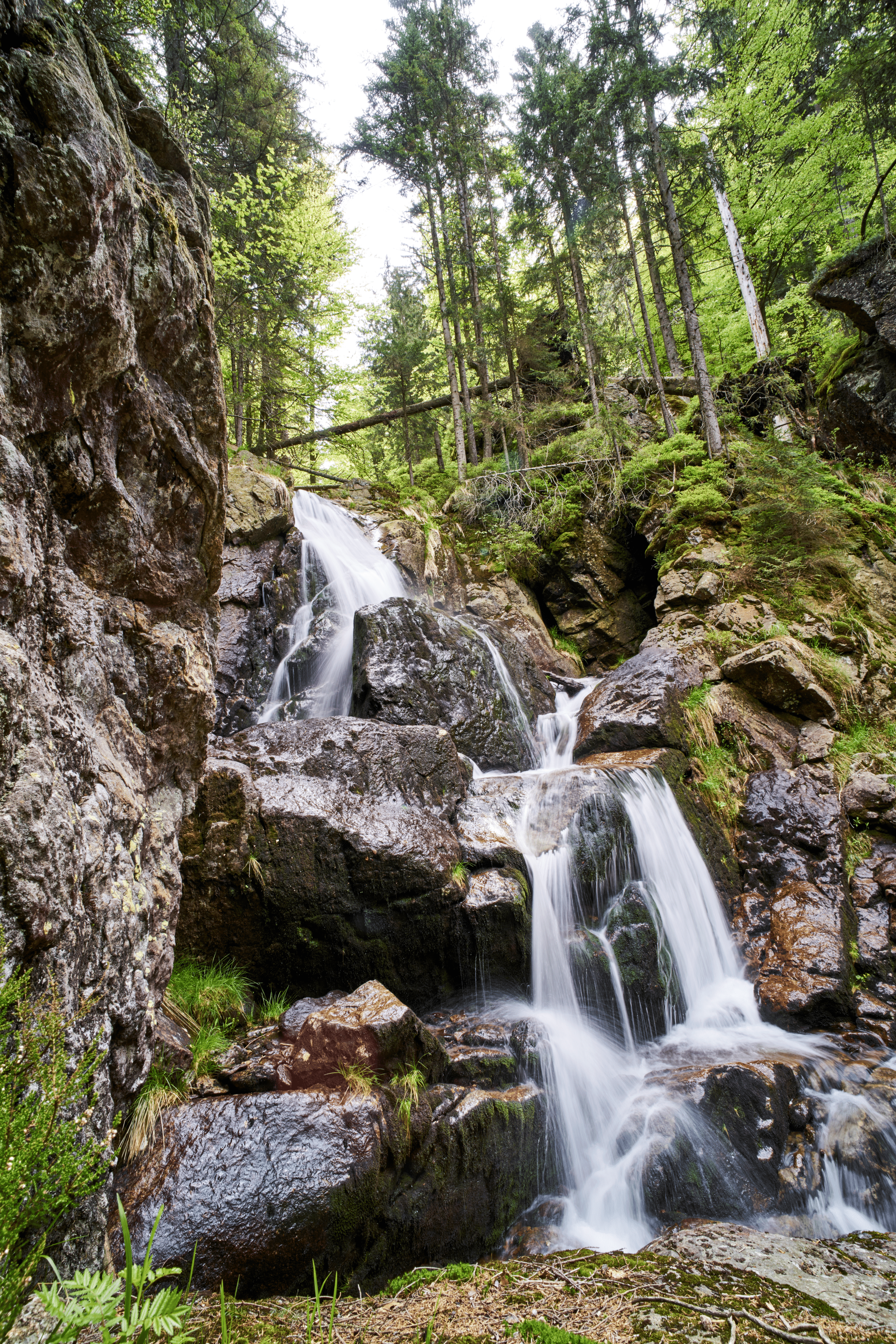 Rißlochfälle bei Bodenmais