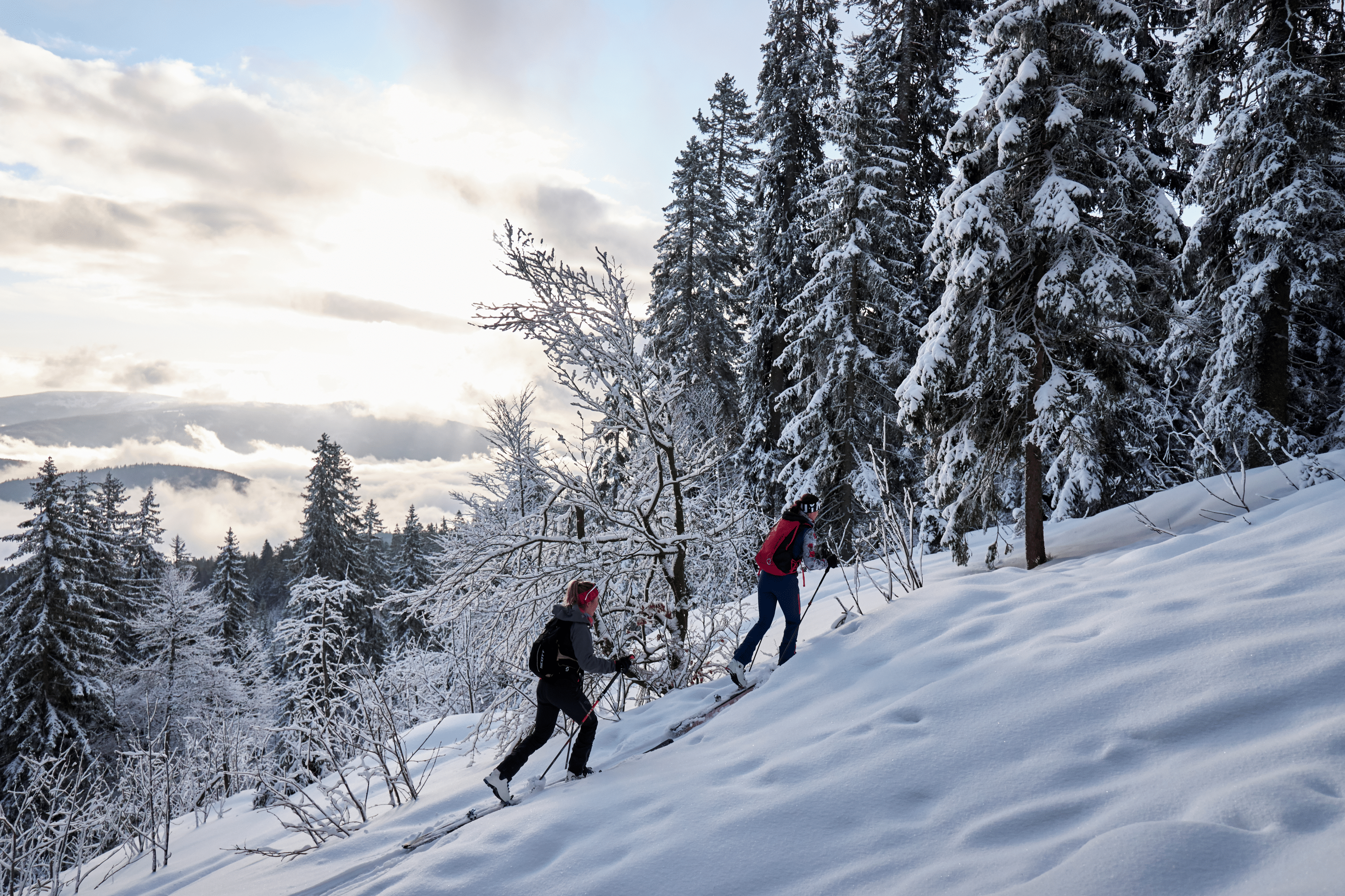 Skitour am Arber