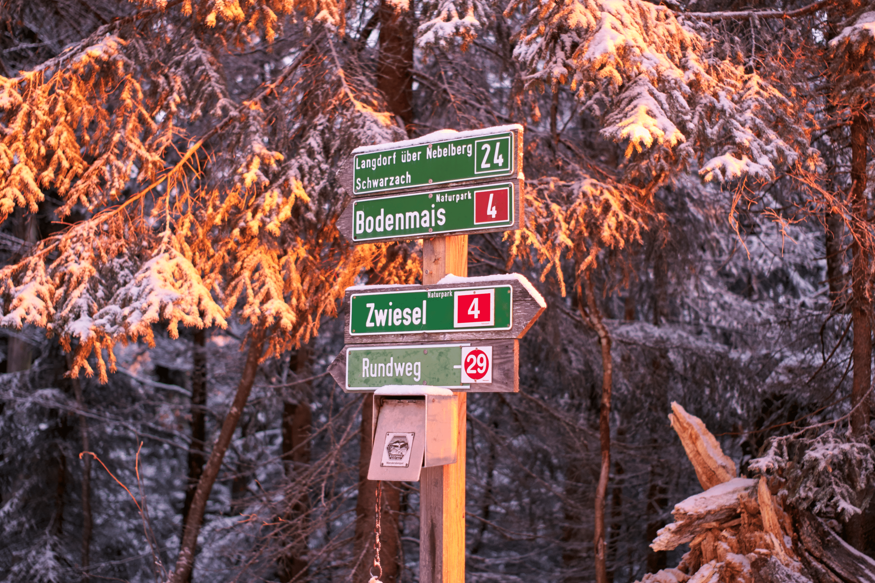 Sonneaufgang am Hennenkobel