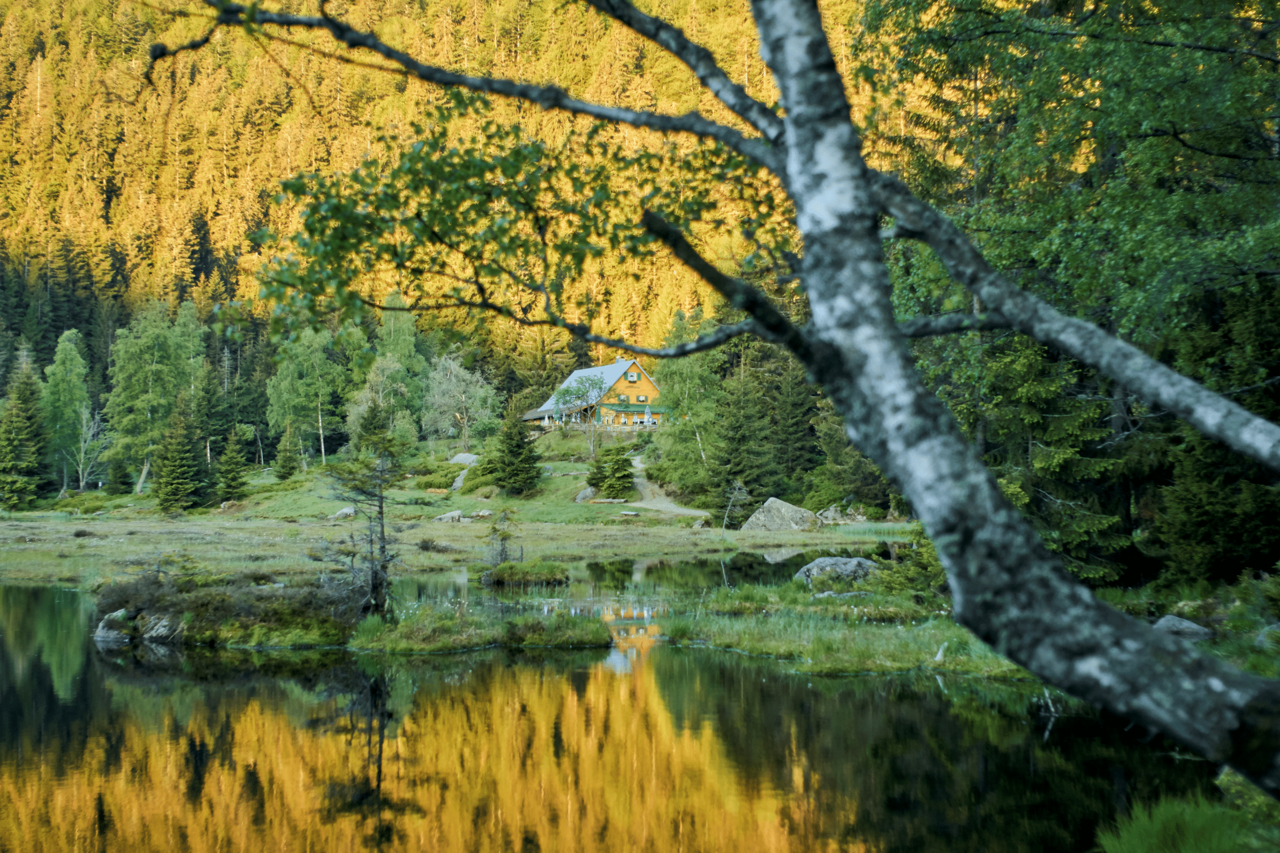 Sonnenaufgang am Kleinen Arbersee