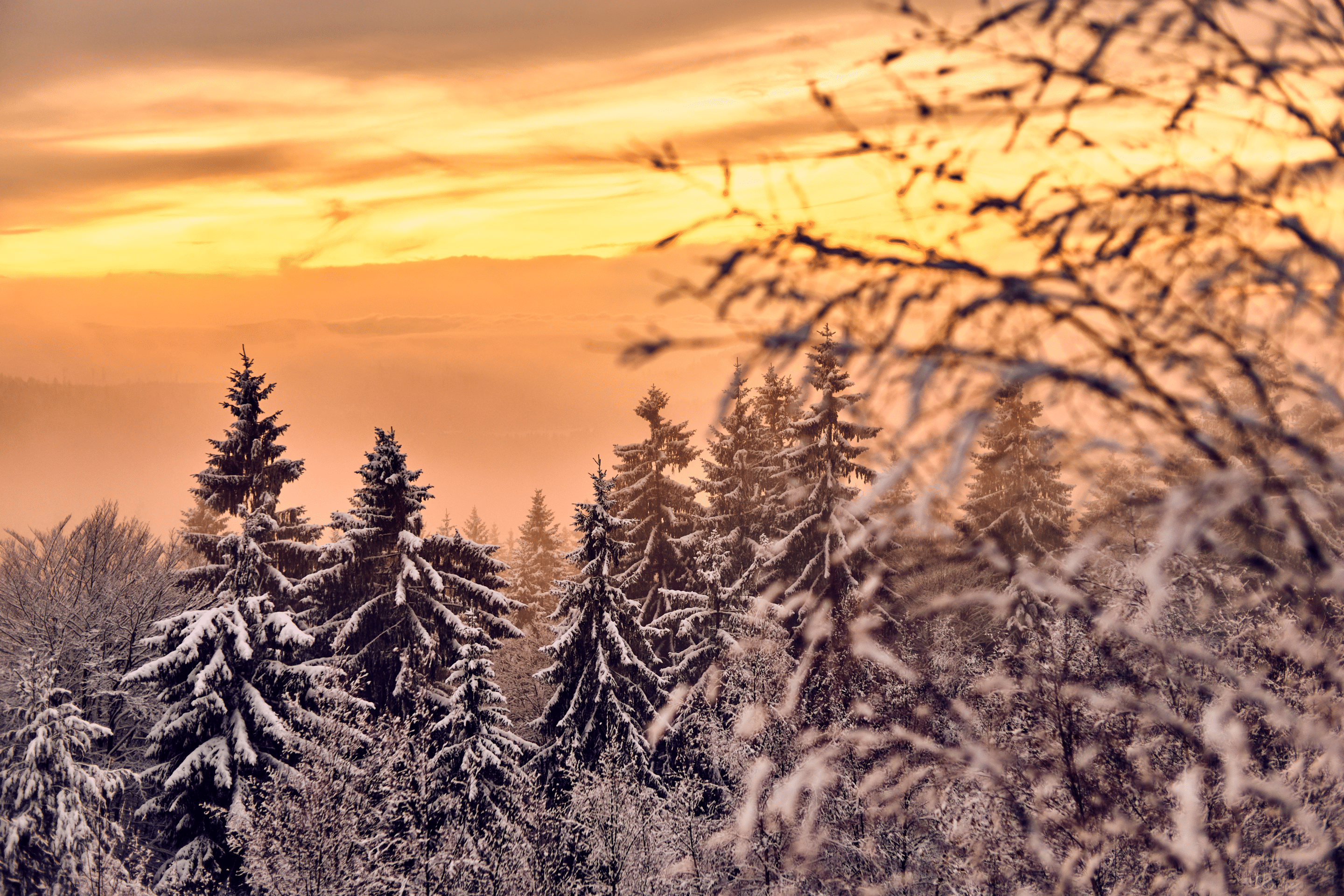 Winterlandschaft am Silberberg – der Himmel glüht